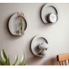 Circular Wall Shelves