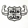 No Pain No Gain Gym Wall Art UAE